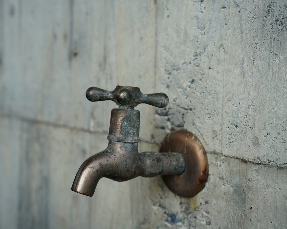 pexels-photo-16143584-1