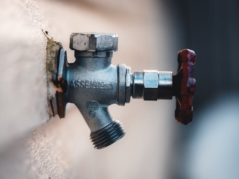 pexels-photo-16341408-1