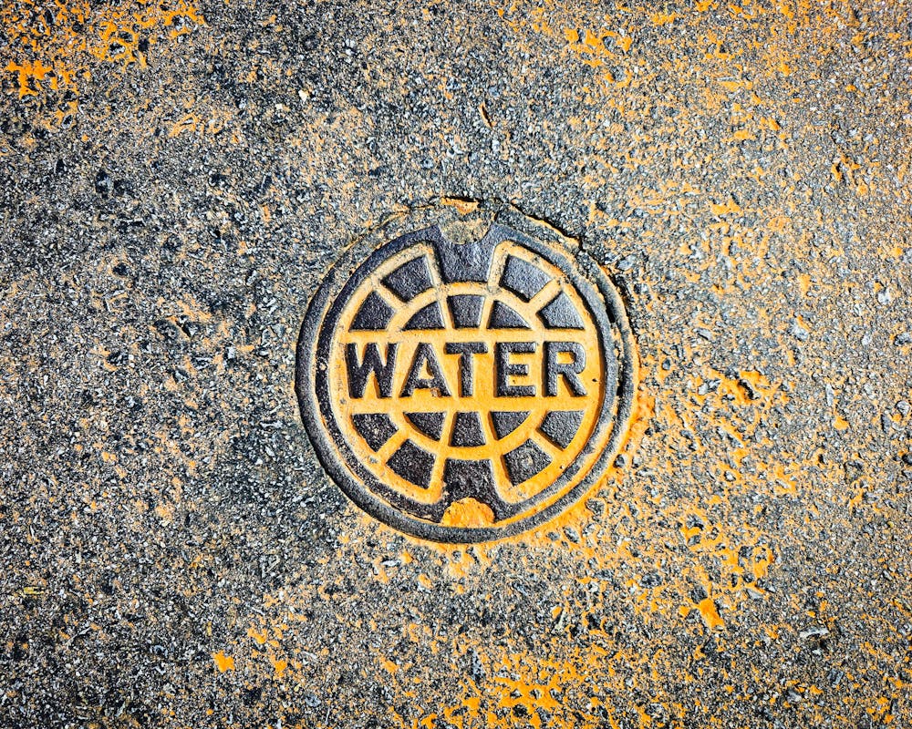 pexels-photo-31731604