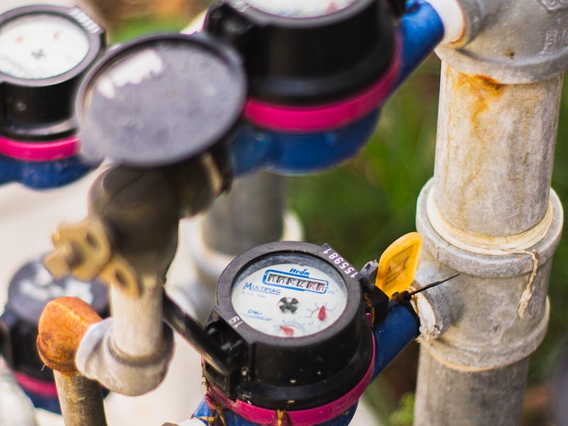 pexels-photo-4494656-2